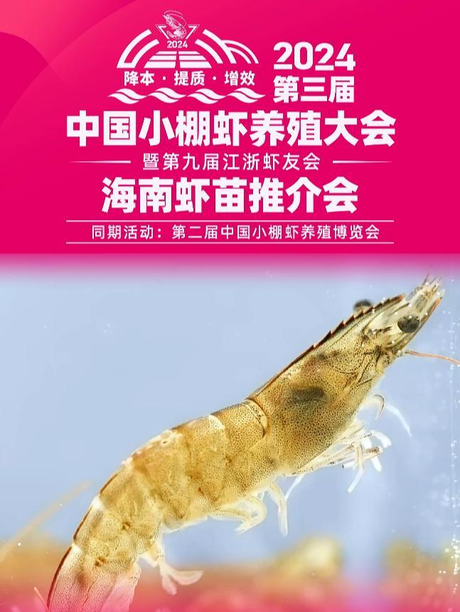 探讨小棚养虾降本增效,寻找好虾苗、好产品,就在 2024第三届全国小棚虾大会暨第九届江浙虾