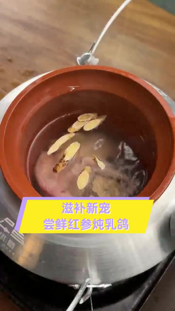 滋补新宠,尝鲜红参炖乳鸽