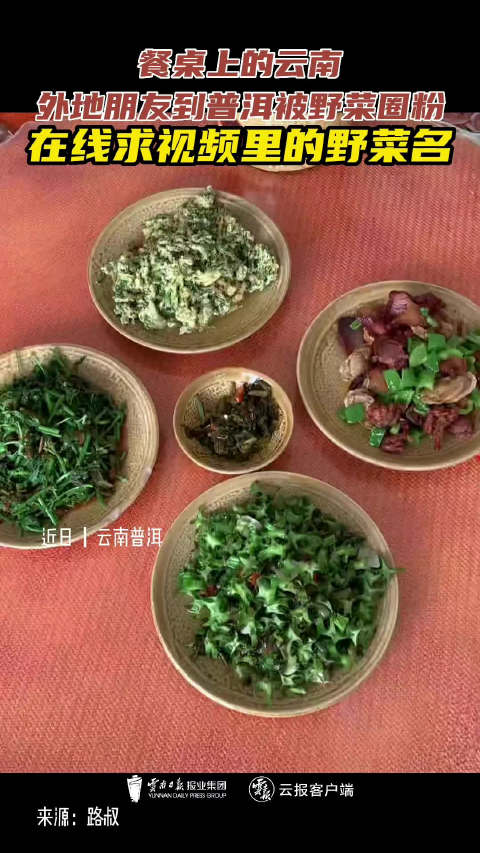 我家云南美「外地朋友被云南野菜圈粉 在线求视频里的野菜名」近日,云南普洱。一名外地朋友到普