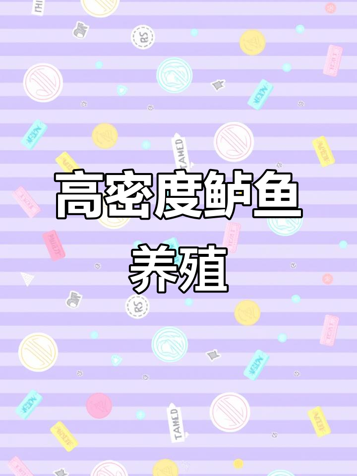 山东工厂化高密度鲈鱼养殖基地,1200方水可养千斤