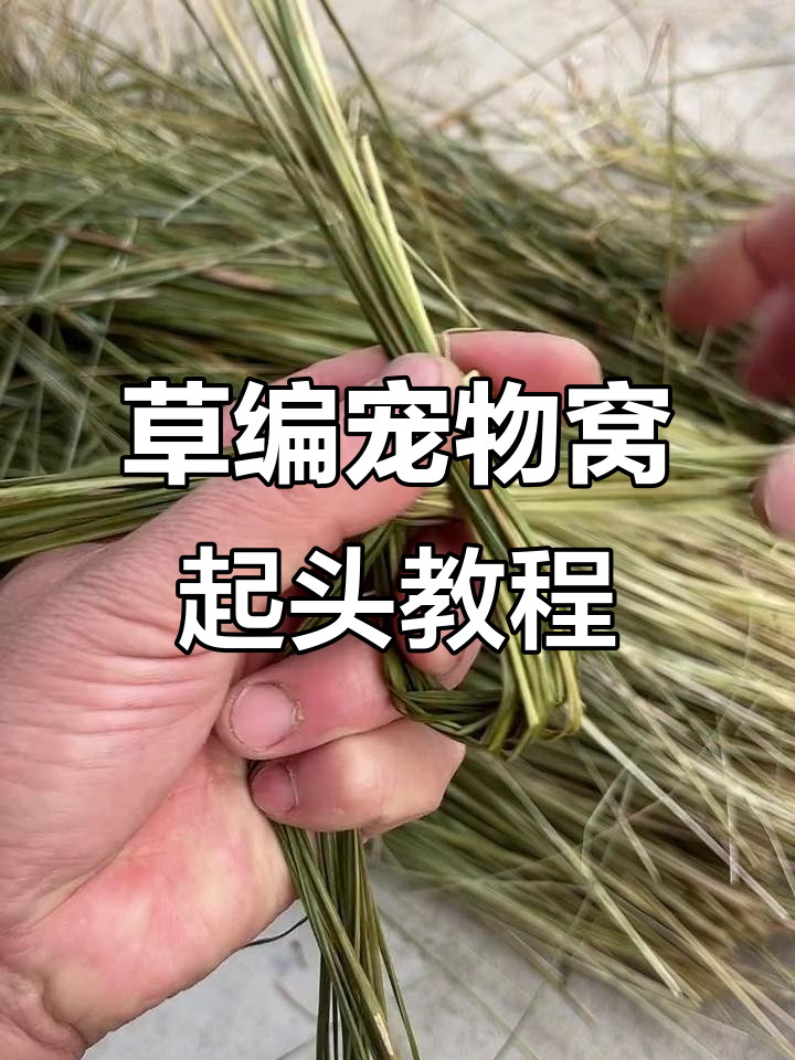 草编宠物窝教程:简单步骤教你做鸽子窝和车轮造型