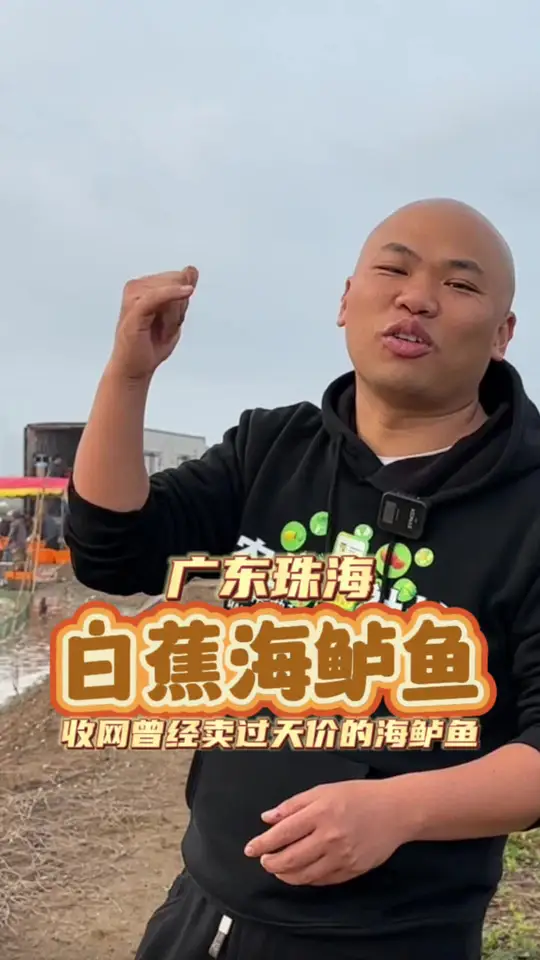 喜欢吃海鲈的朋友快来集合啦!