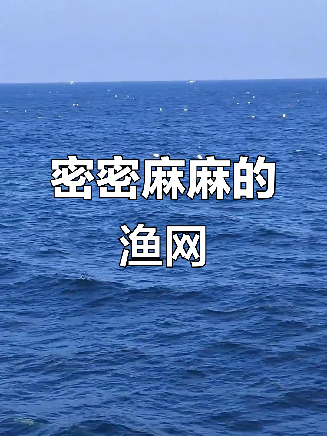 海面渔网密布,鱼儿几乎无处可逃