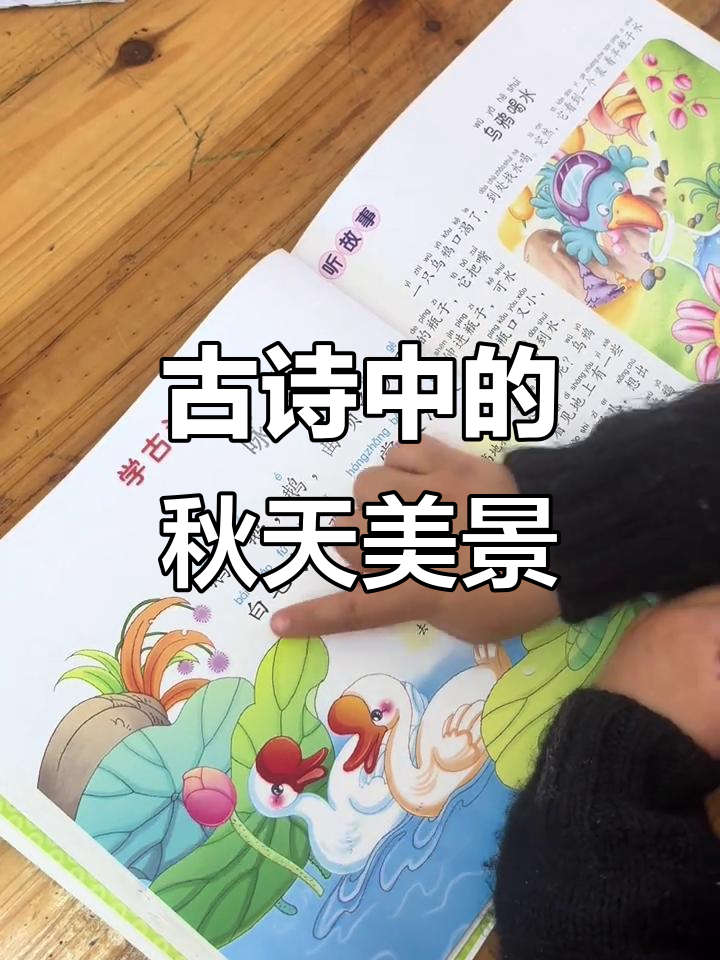 秋日诗意:落叶飞舞与白鹅戏水,古诗词之美尽显