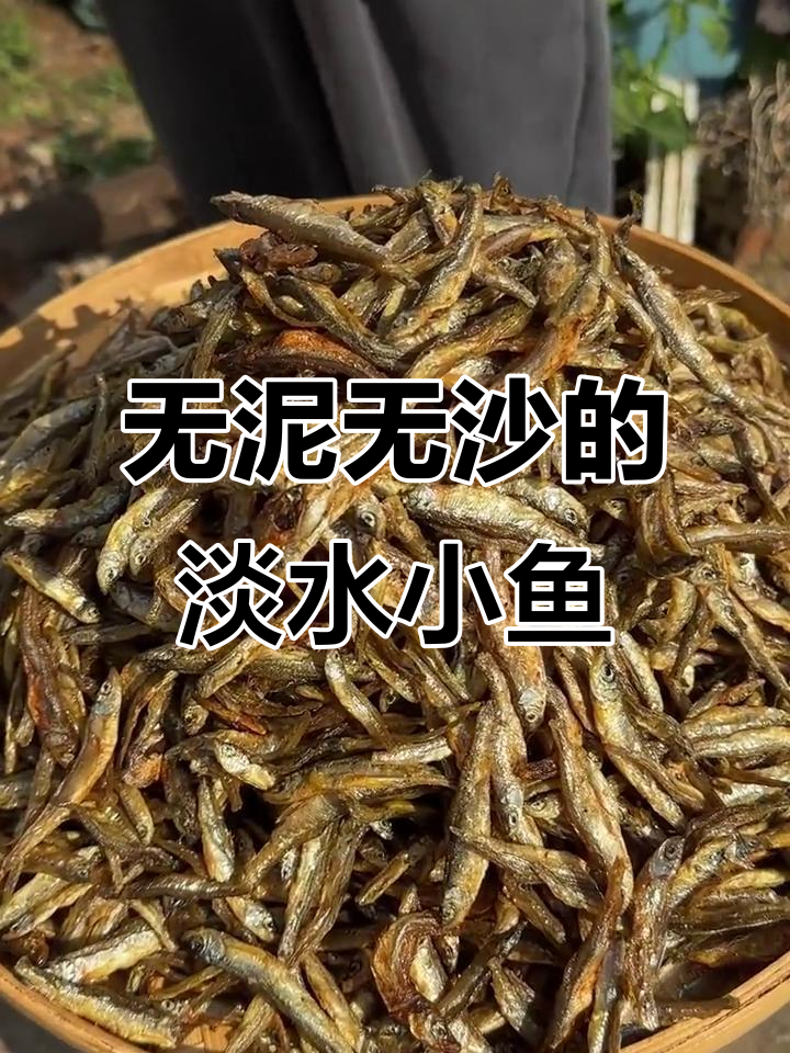 湖南淡水小公鱼,无泥沙腥味,炒炸都鲜美