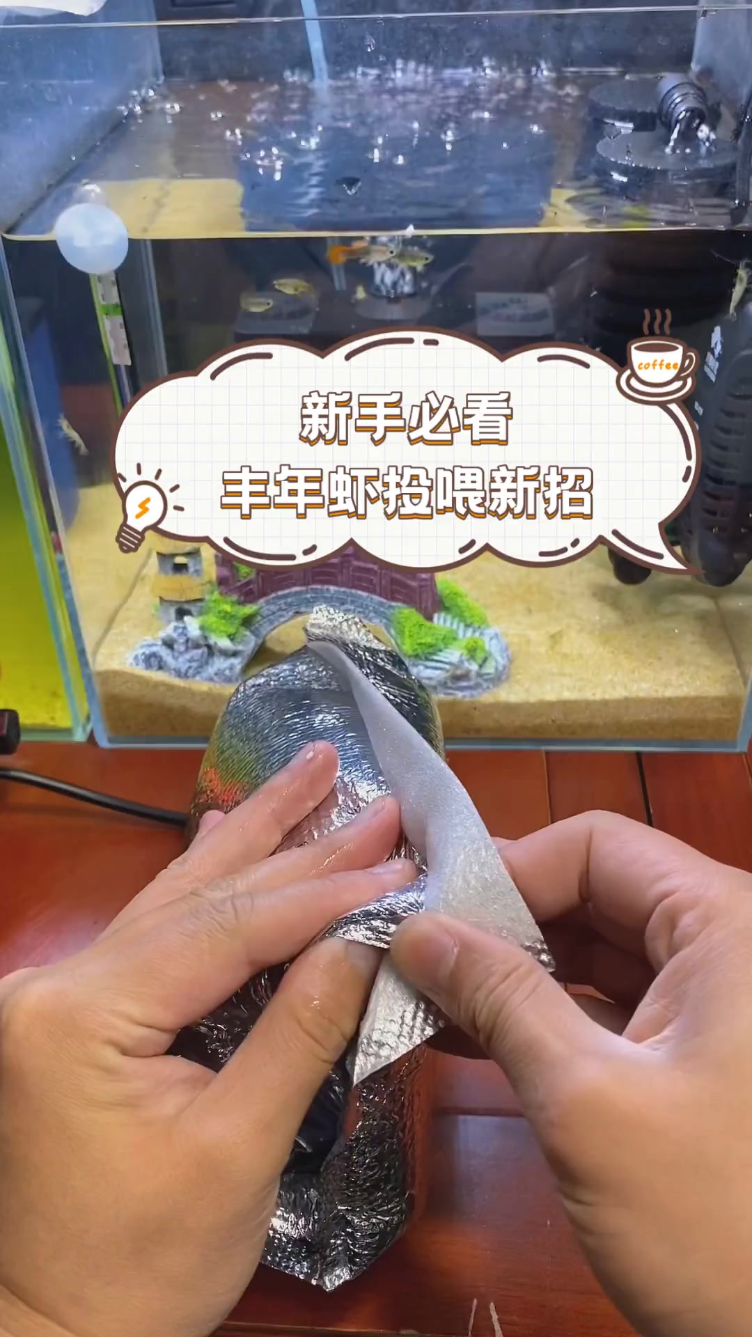 新手必看,丰年虾投喂新招
