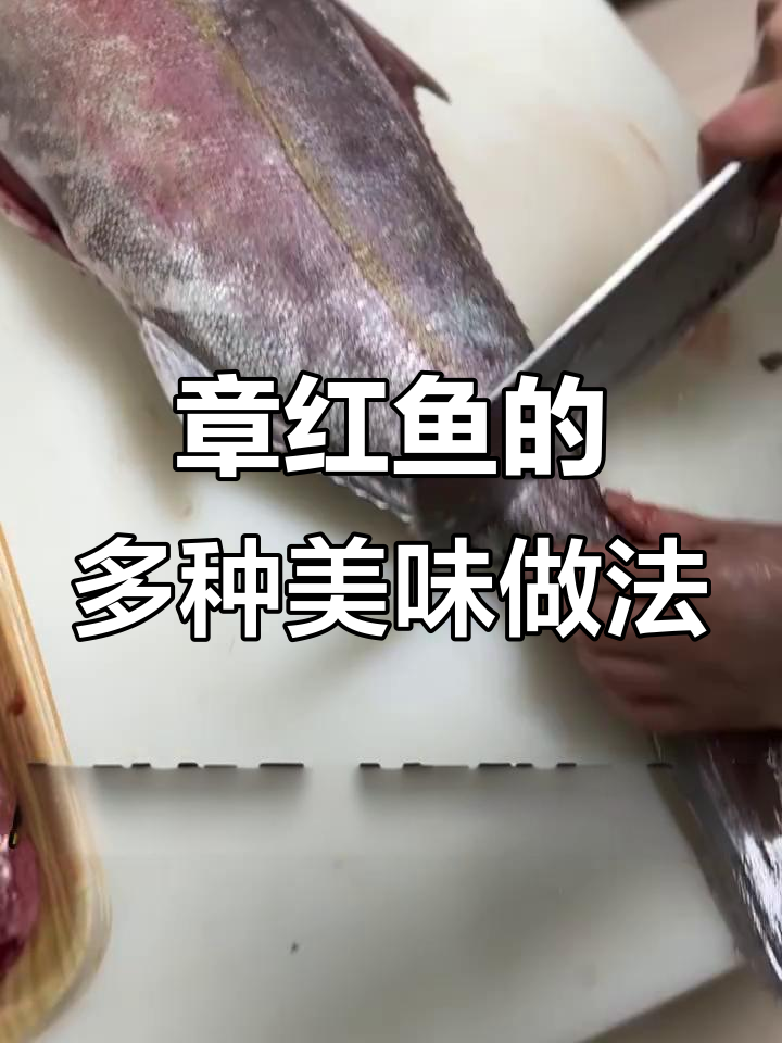 海钓章红鱼,开鱼大揭秘:从煲汤到刺身的完美做法