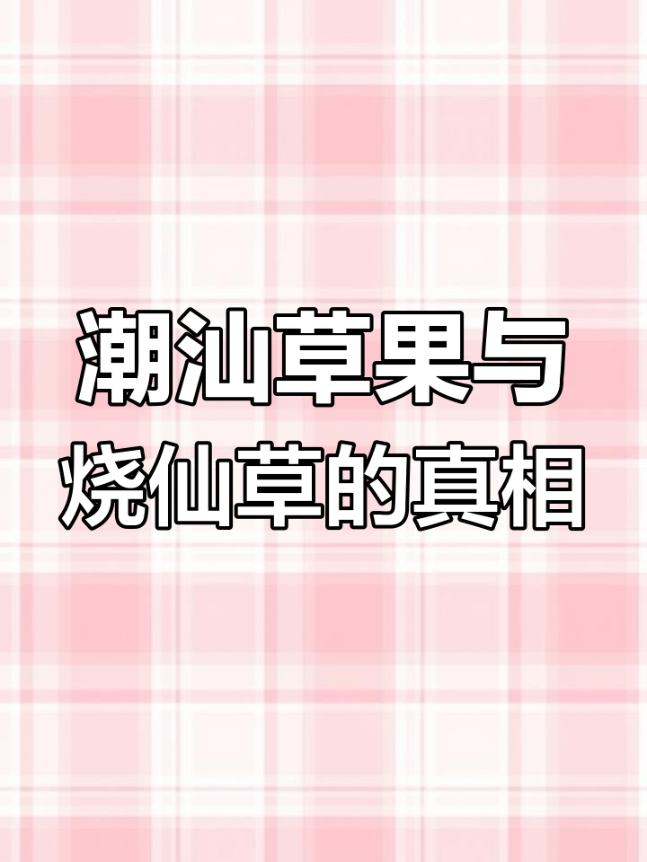 草果、烧仙草竟是亲兄弟,龟苓膏到底跟谁有关系?