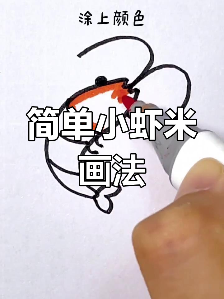 小虾米简笔画教程,轻松学会画可爱小动物