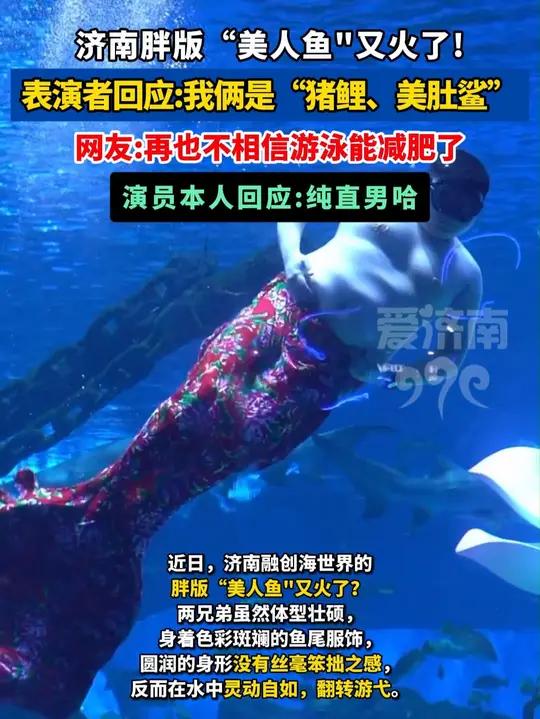 济南胖版“美人鱼”又火了 济南胖版“美人鱼”又火了