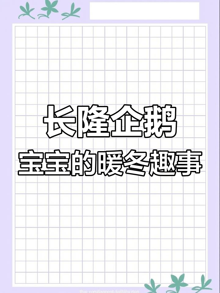 萌态十足!珠海长隆企鹅宝宝玩滑梯,帝企鹅犯困瞬间超可爱