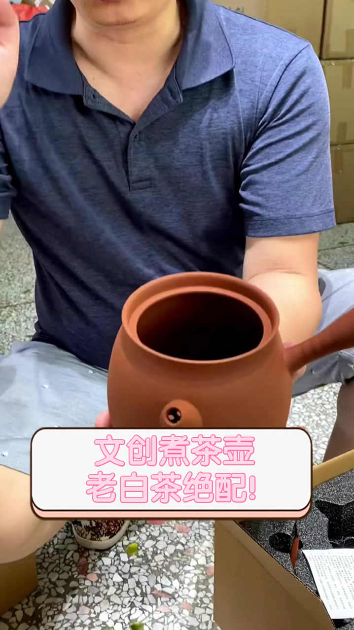 文创煮茶壶，老白茶绝配！