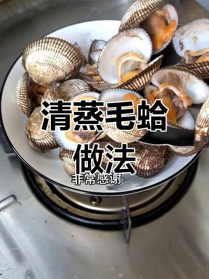 毛蛤清蒸四分钟,鲜嫩美味