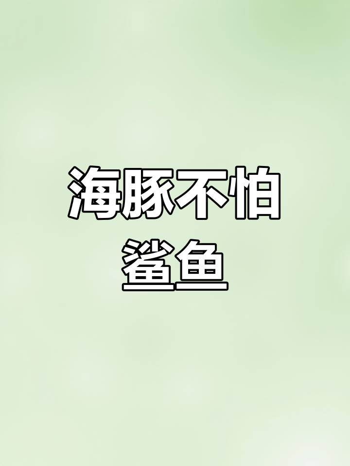 海豚为何能轻松击败鲨鱼?