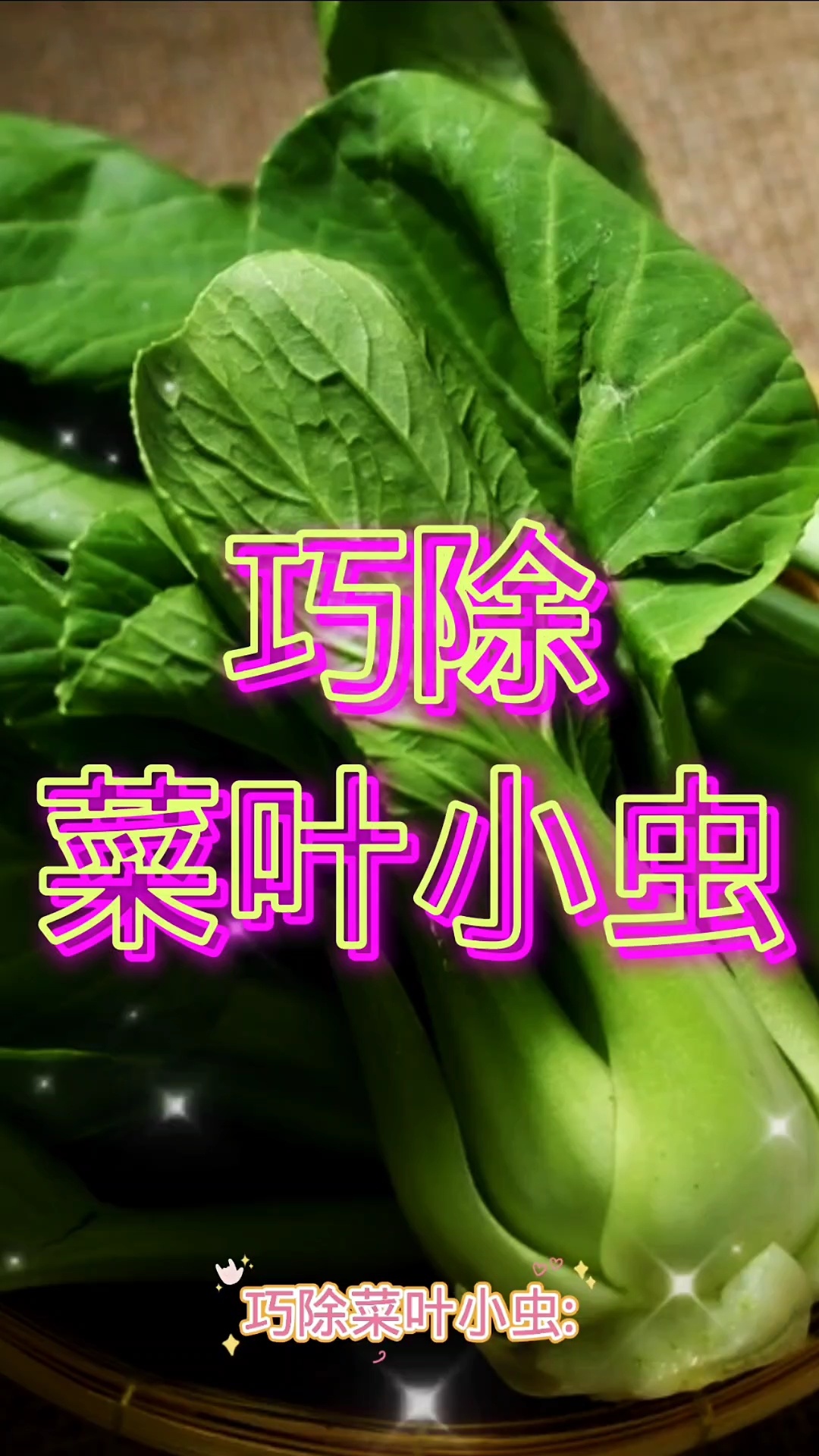 巧除菜叶小虫