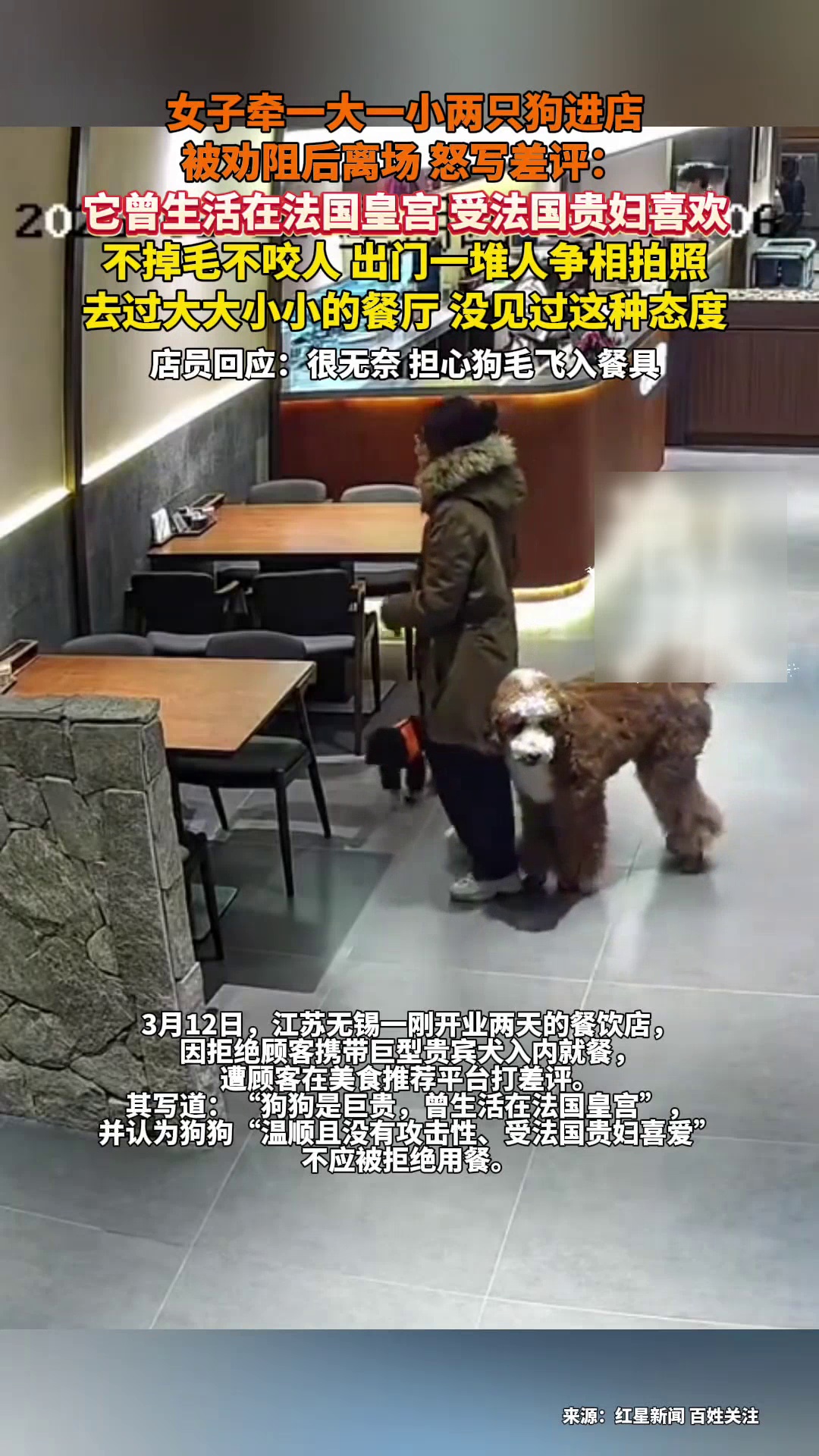 女子牵两只狗进店被劝阻后离场,怒写差评:它曾生活在法国皇宫