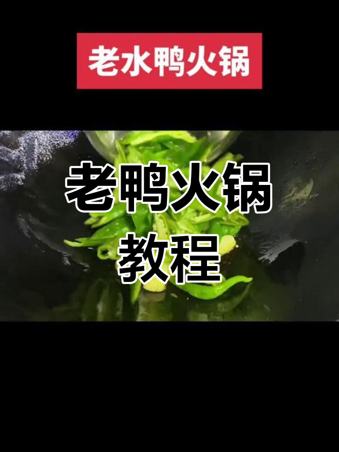 湖南冬季鸭子火锅做法,老鸭更美味