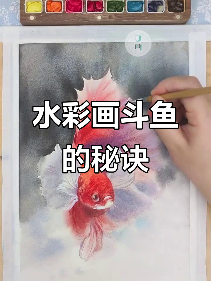 画出栩栩如生的斗鱼,水彩技巧大揭秘!