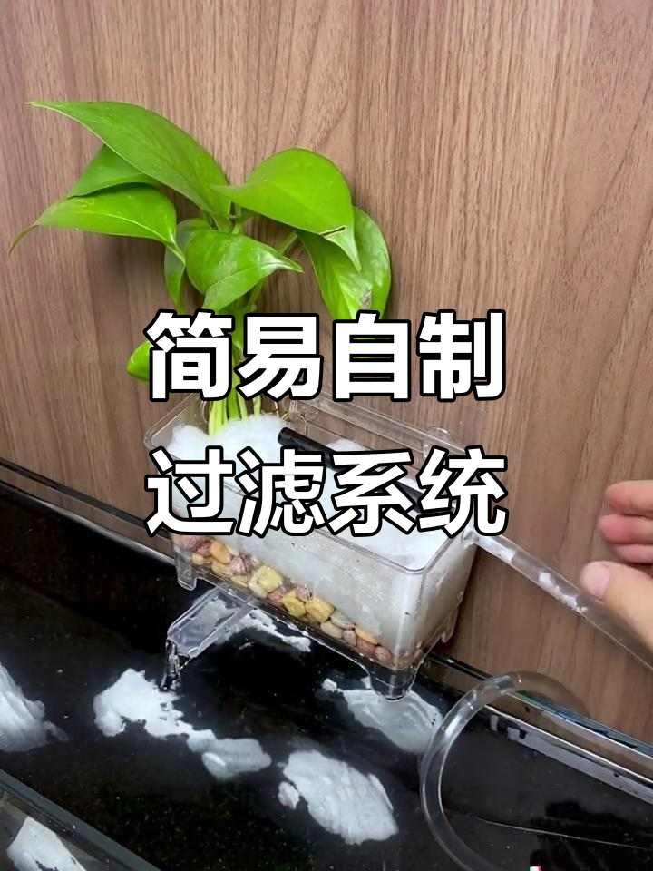 自制过滤流水盒，轻松打造高效鱼缸过滤器