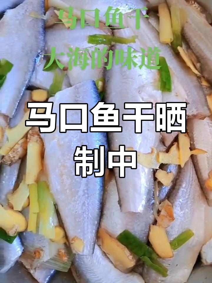 阳光下的马口鱼干,味道鲜美