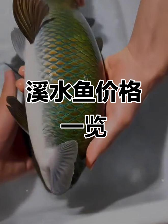 15种溪水鱼类价格大揭秘,你吃过几种?