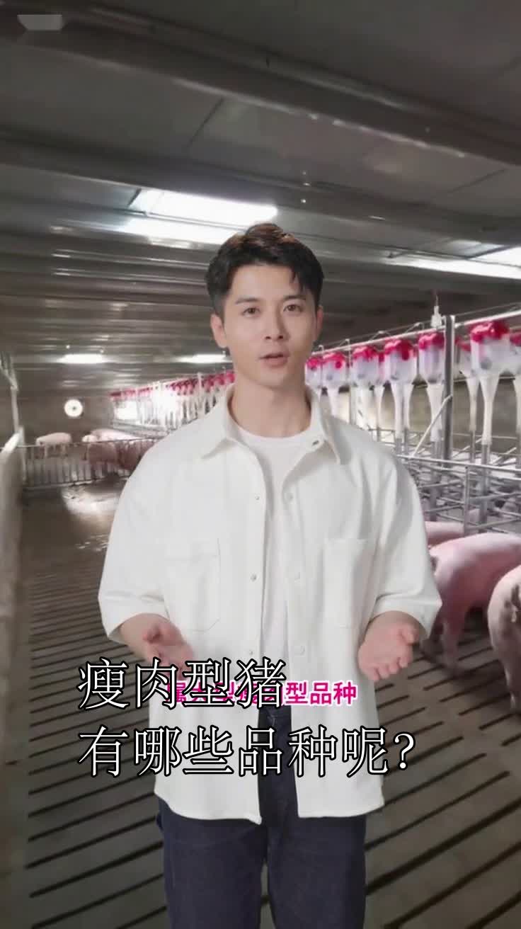 瘦肉型猪有哪些品种呢?