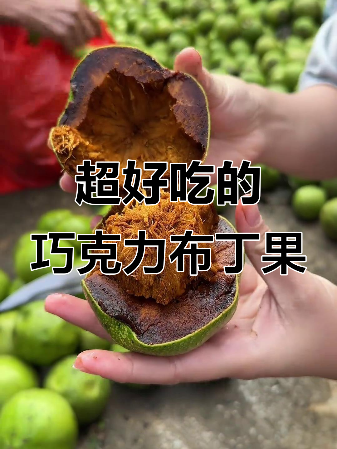 巧克力布丁果大丰收,口感超赞!