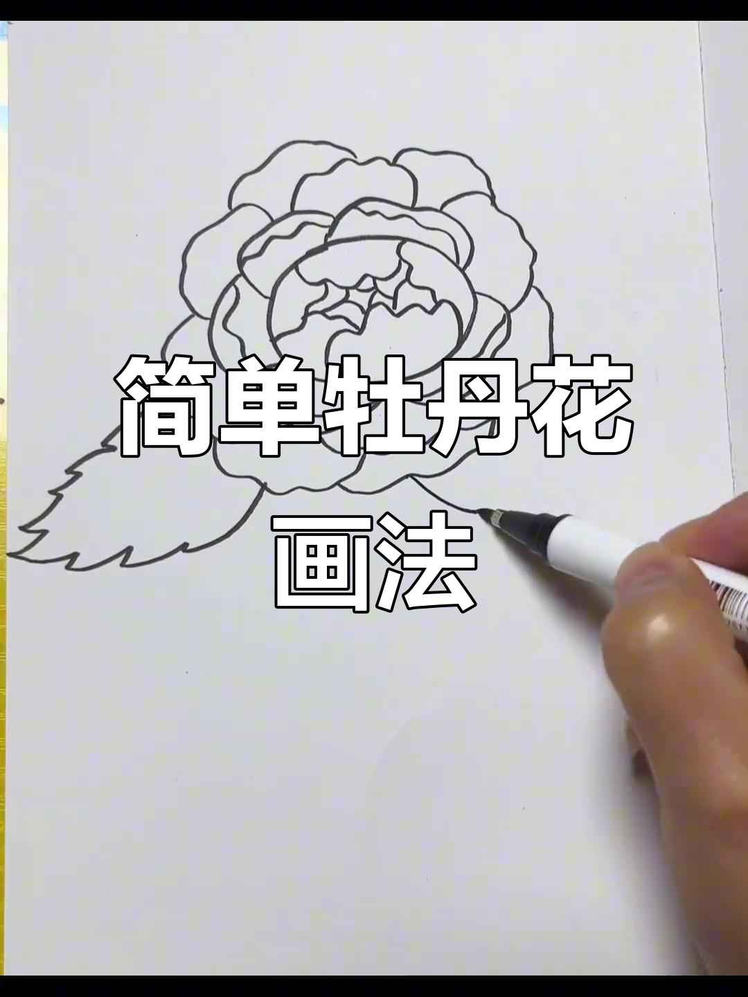牡丹花简笔画技巧,轻松画出美丽花朵