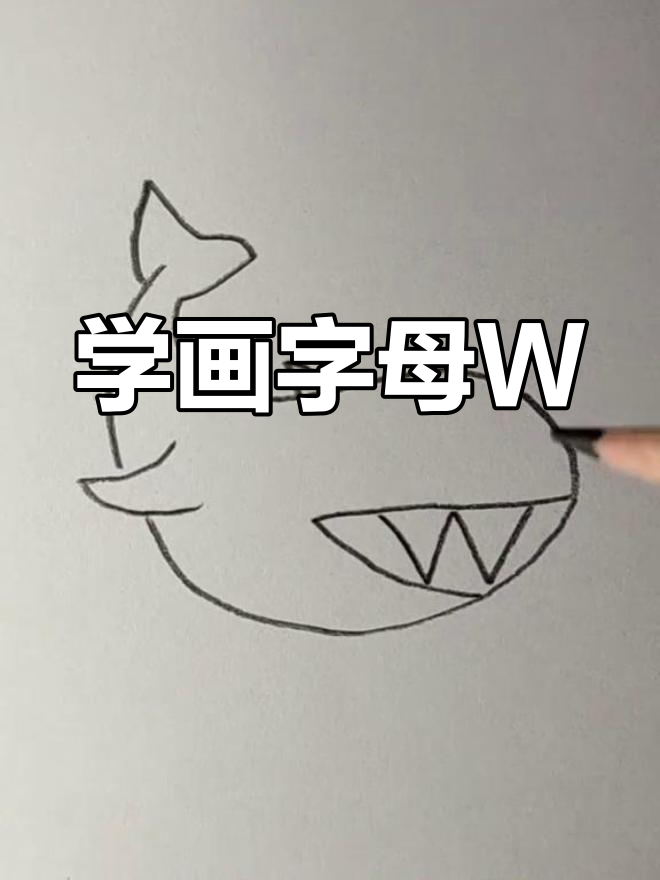简单铅笔画鲸鱼