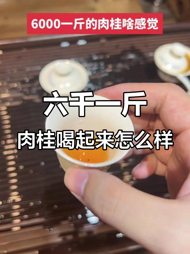 6000元一斤的肉桂茶,口感如何?老素肉桂带你体验