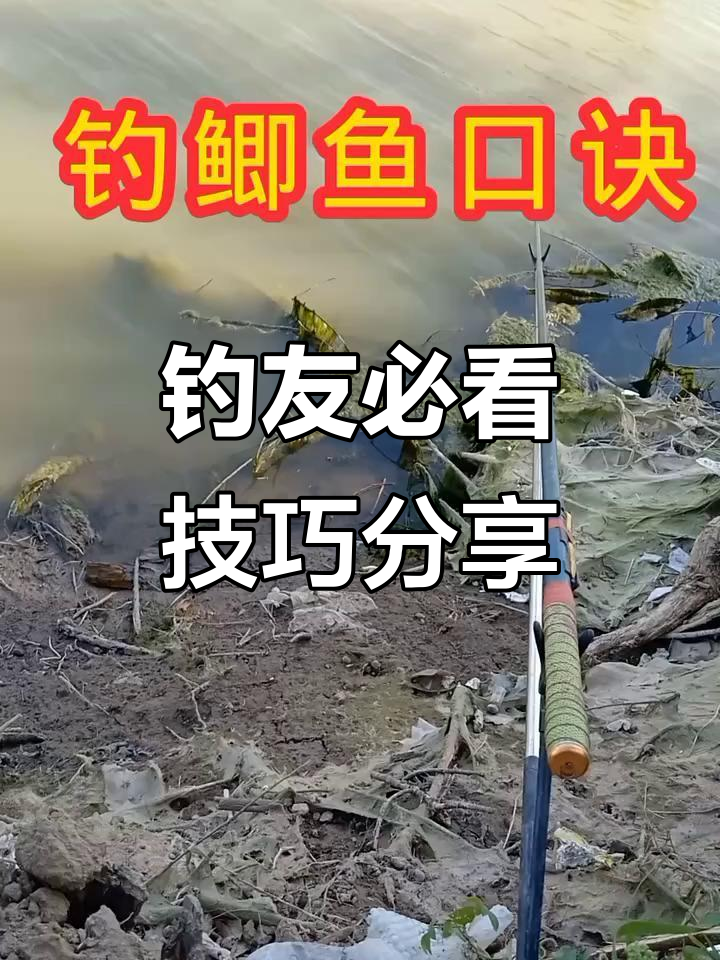 钓鱼技巧大公开,分享成功秘诀