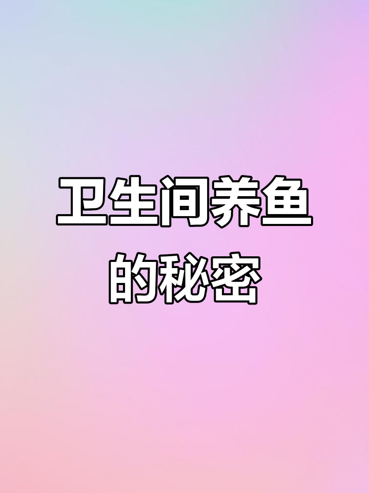 厕所养鱼20年,防水做到极致!