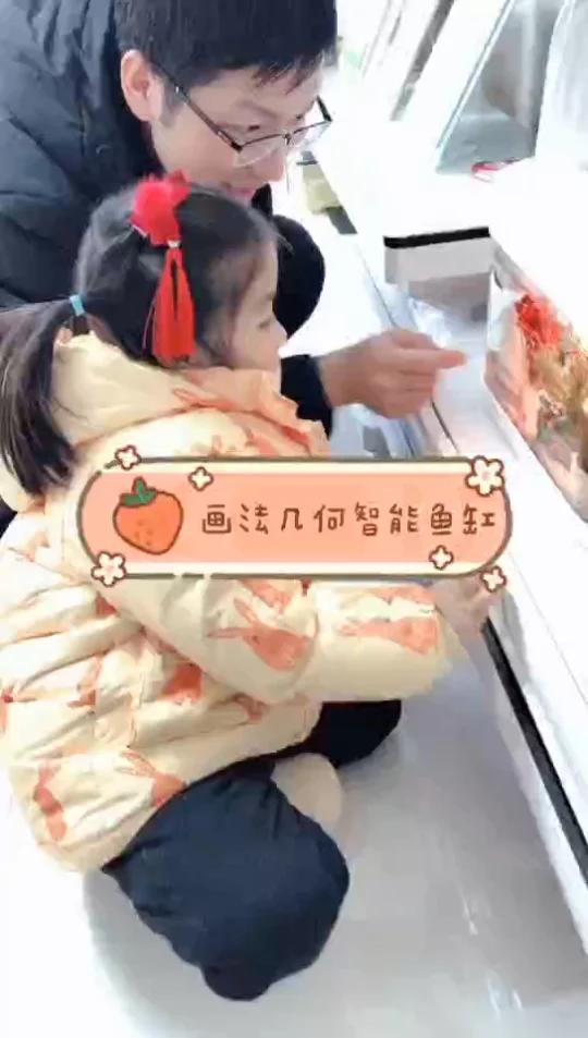 送给女儿的圣诞节礼物 画法几何智能鱼缸