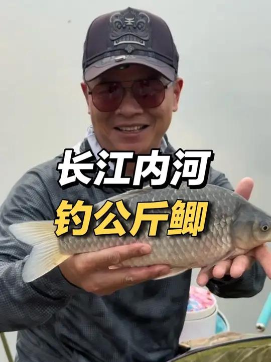 什么情况，半斤的鲫鱼在这里只配当前菜？