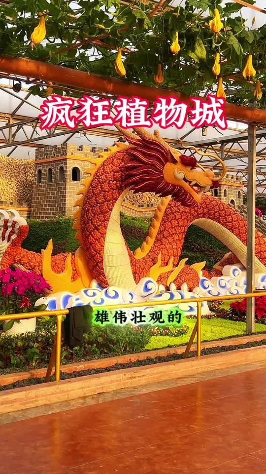 假期带孩子来寿光菜博会,涨知识,开眼界,畅游蔬菜海洋,可带两个小孩,1米4以下、60周岁以