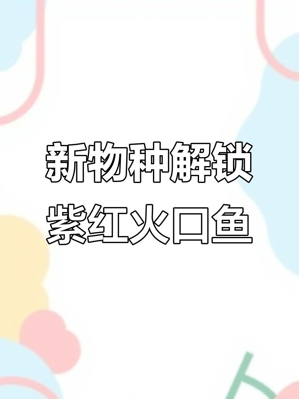 紫红火口鱼新发现,神秘品种揭秘!