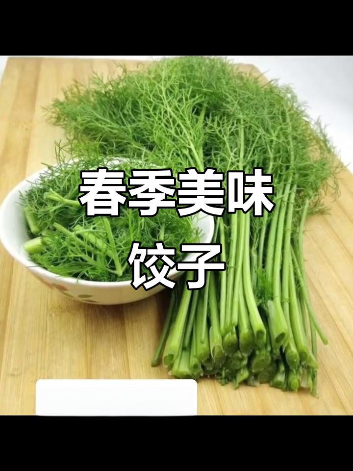 苜蓿饺子,春日鲜美,清香扑鼻,皮薄馅嫩