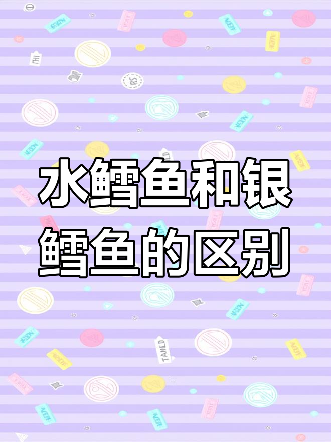 银鳕鱼与水鳕鱼的差异对比