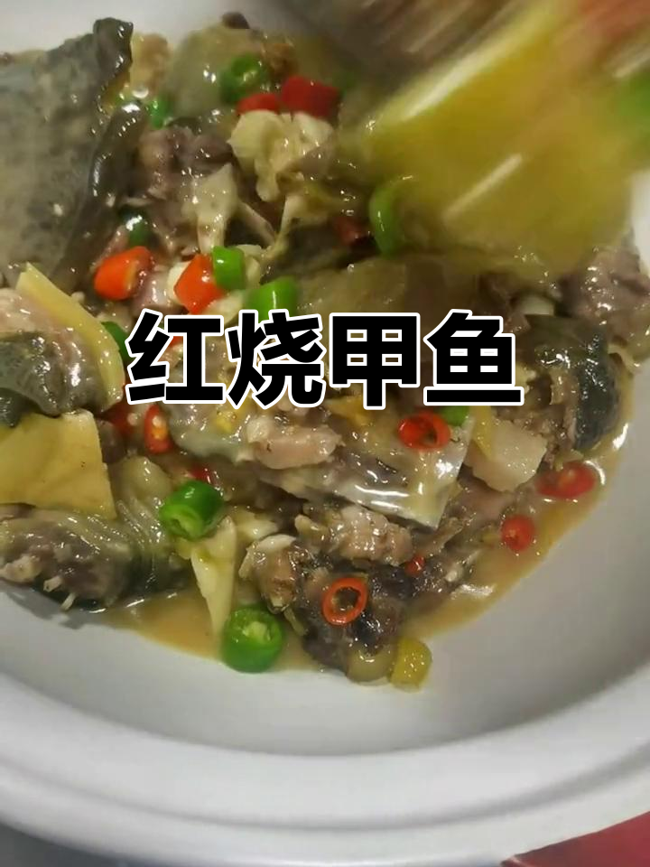 甲鱼红烧蹄花老鸭煲