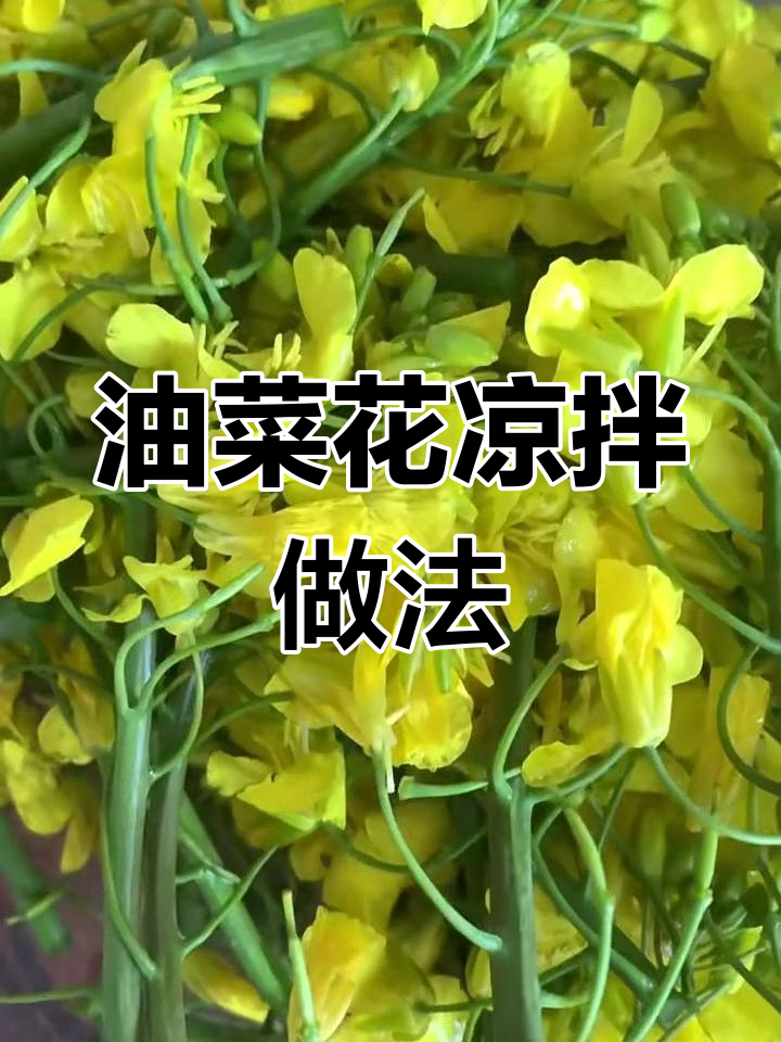 凉拌油菜花,蒜香十足,营养满满