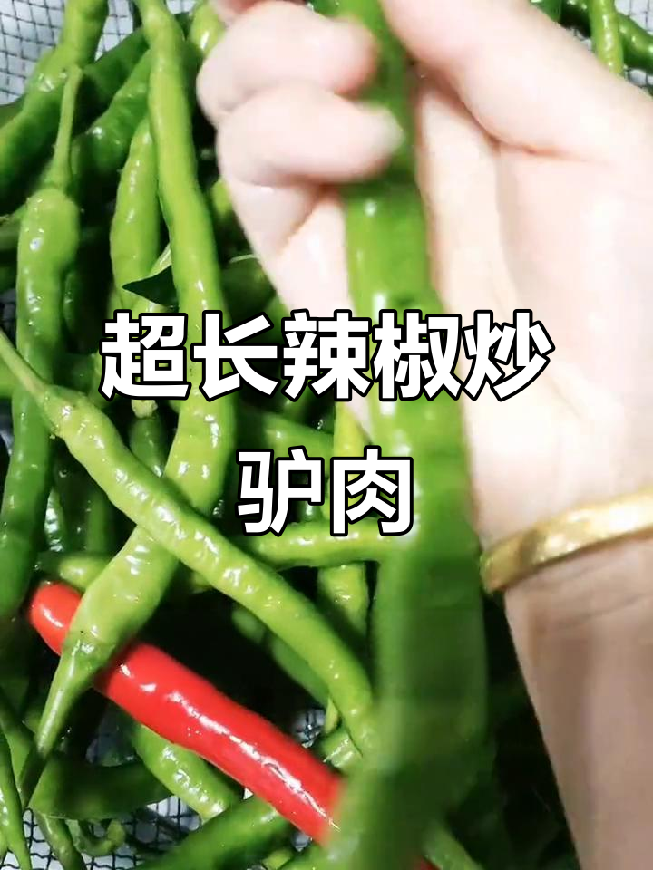 超大无公害尖椒炒驴肉，翠绿诱人！