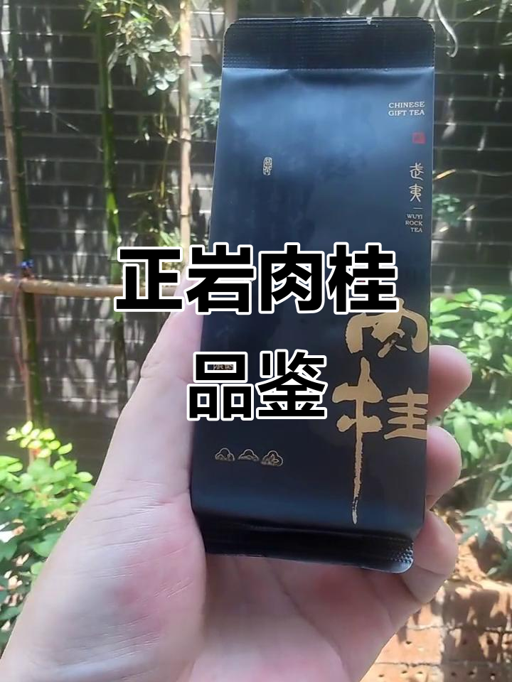 武夷山正岩肉桂:时光静好,品味健康茶生活