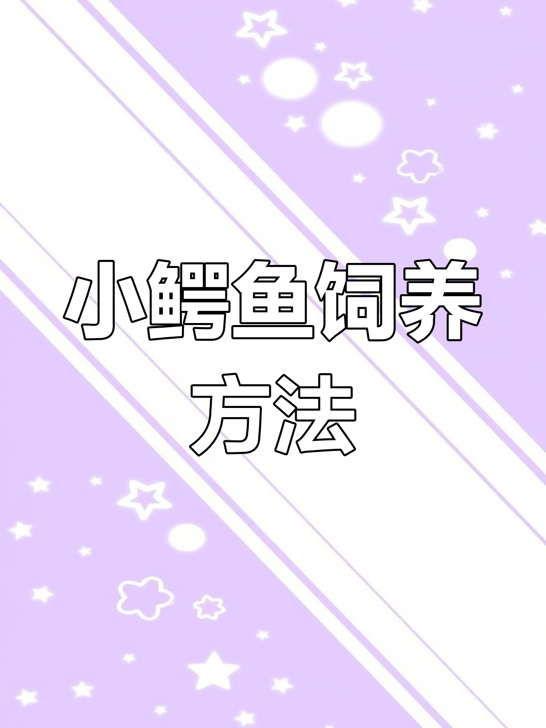 鳄鱼养殖入门技巧,轻松驯养小苗子