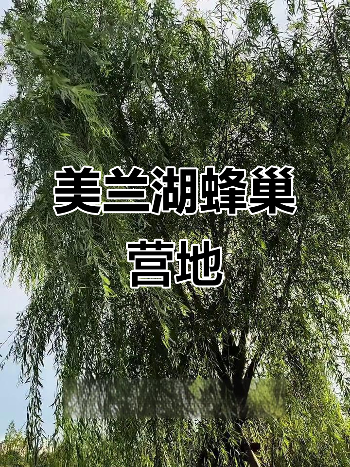 上海美兰湖新营地,钓鱼爱好者必看!