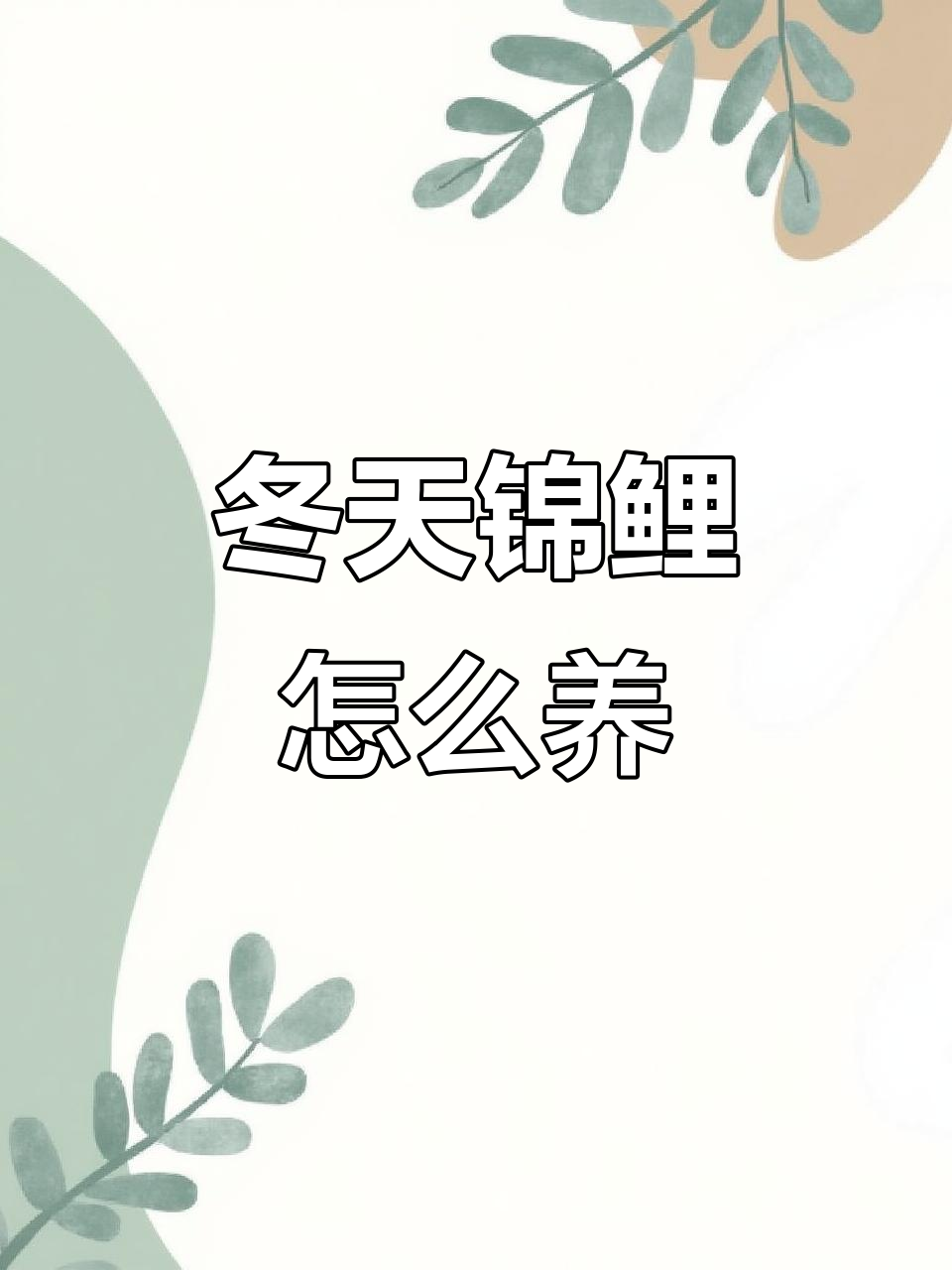 冬季来临，锦鲤如何过冬？室内鱼缸保暖技巧大公开