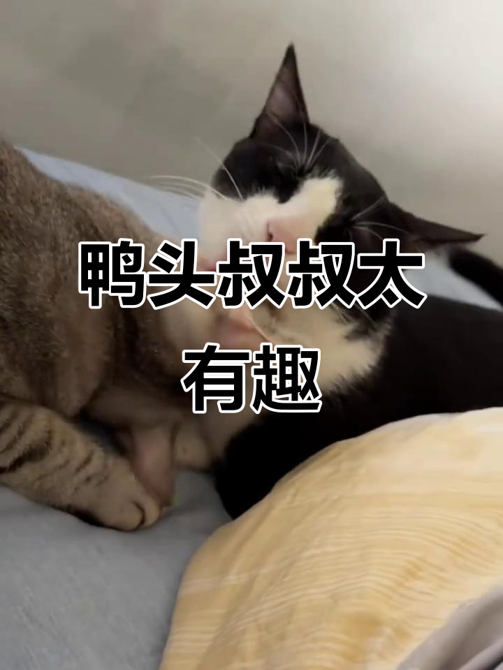 鸭头叔叔的搞笑日常,快来一起笑出声!