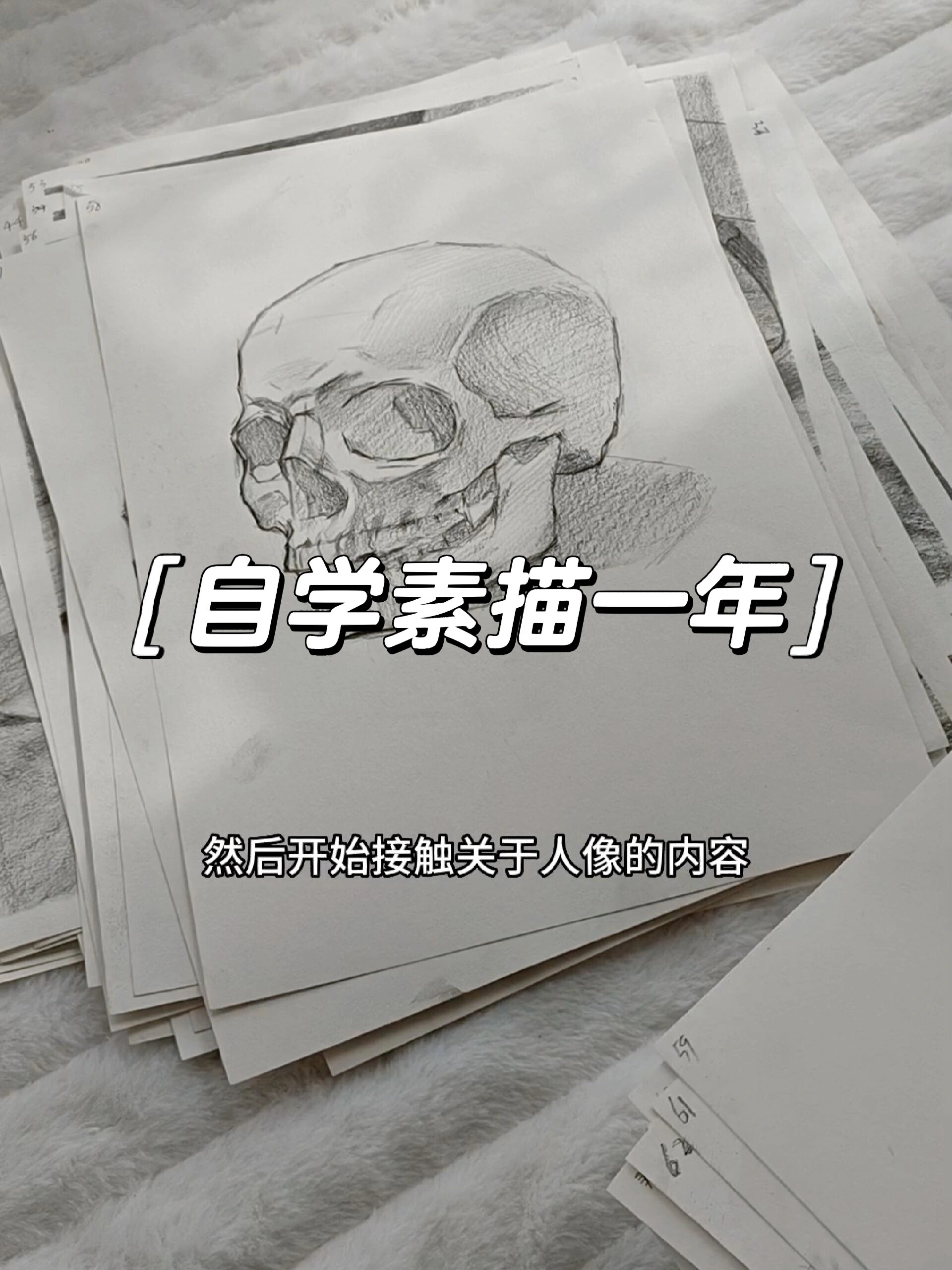 零基础自学素描100张进化史