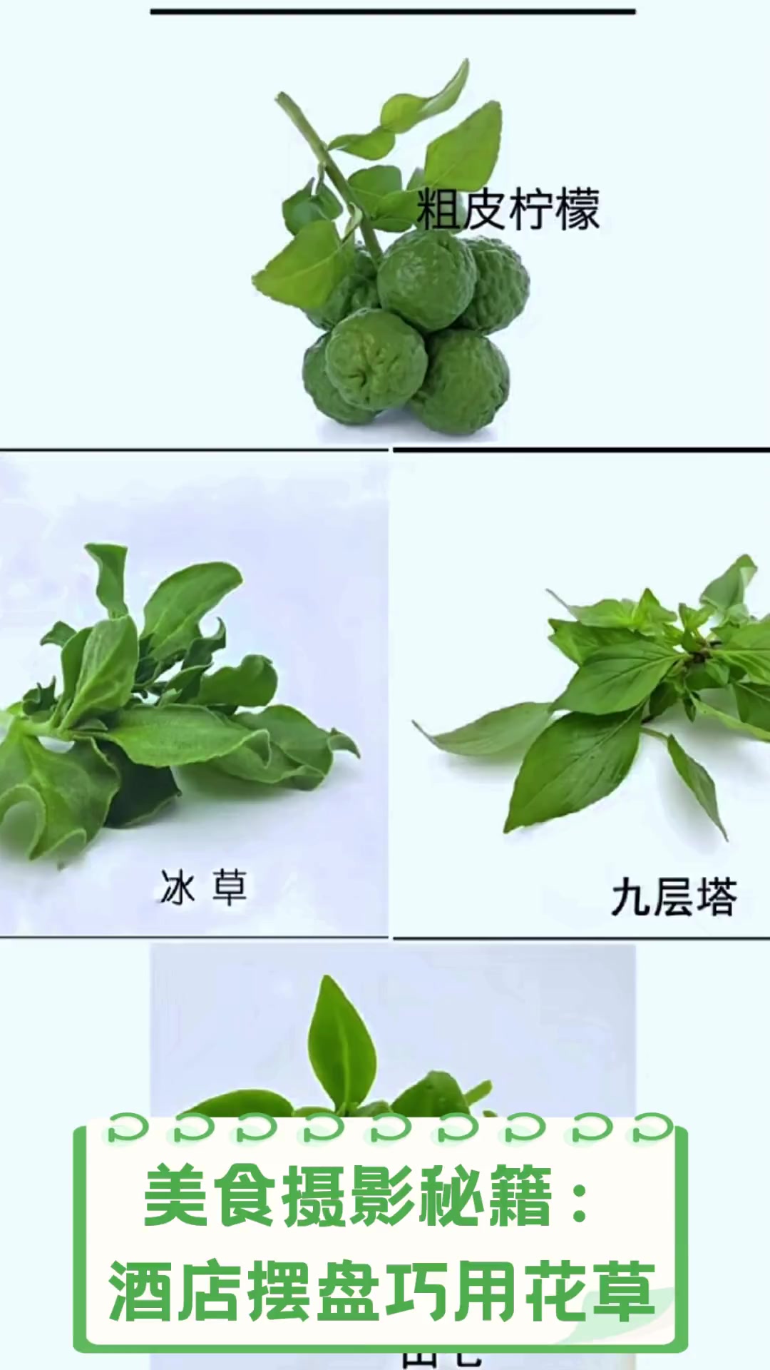 美食摄影秘籍:酒店摆盘巧用花草