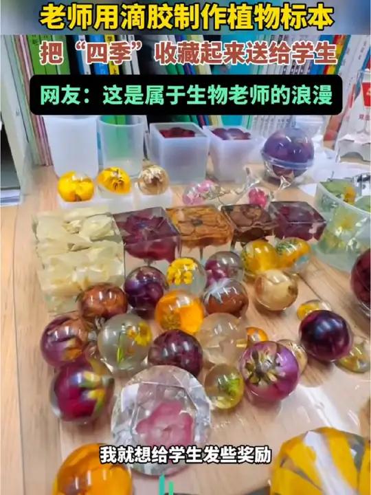 济南一生物老师用滴胶制作标本,把“四季”收藏起来送给学生 生物老师 植物标本