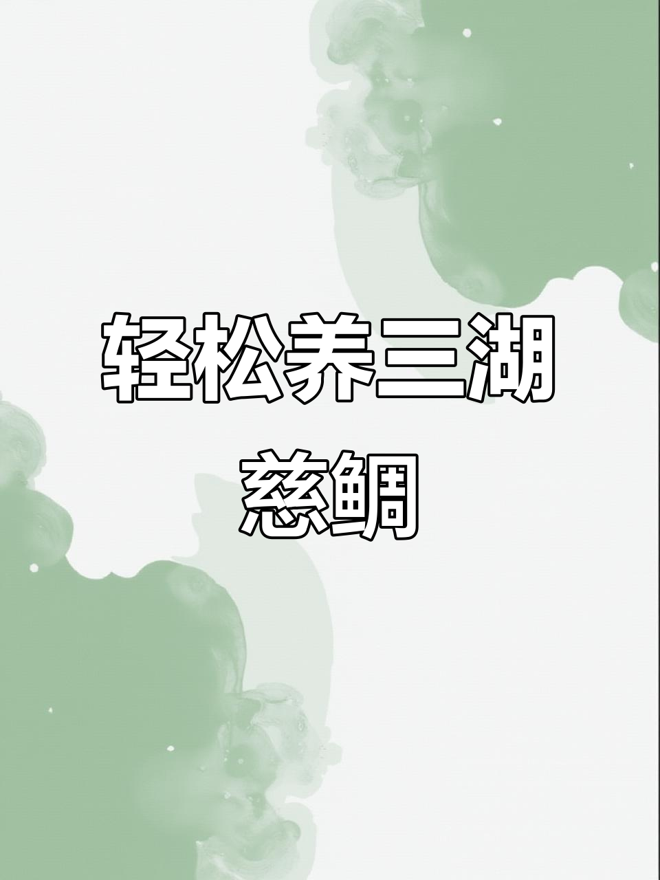 三湖慈鲷:美丽又容易养的热带观赏鱼,互动性超强